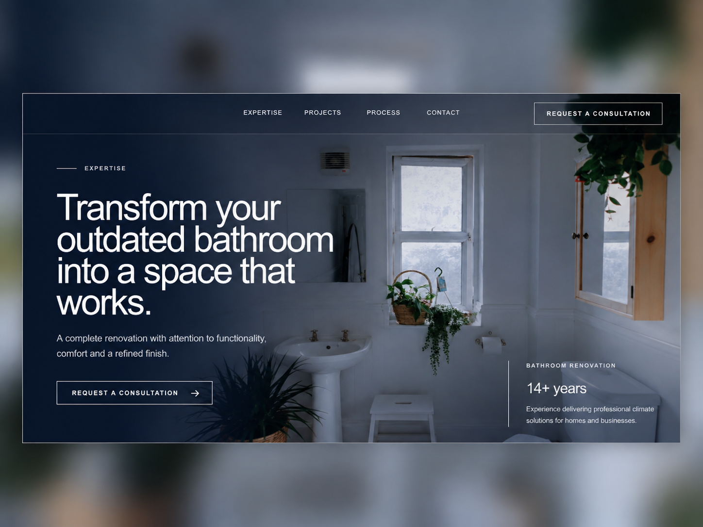 Website project